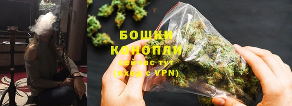 сатива Абинск