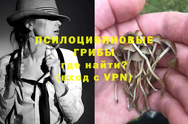 сатива Абинск