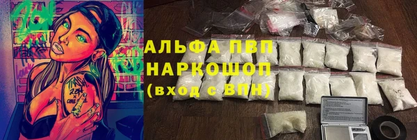 сатива Абинск
