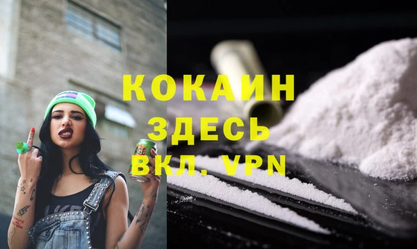 сатива Абинск